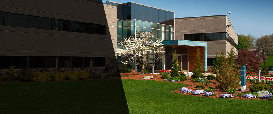 Federalsburg Landscapers