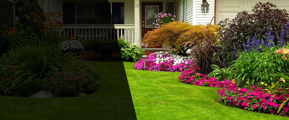 Federalsburg Landscapers