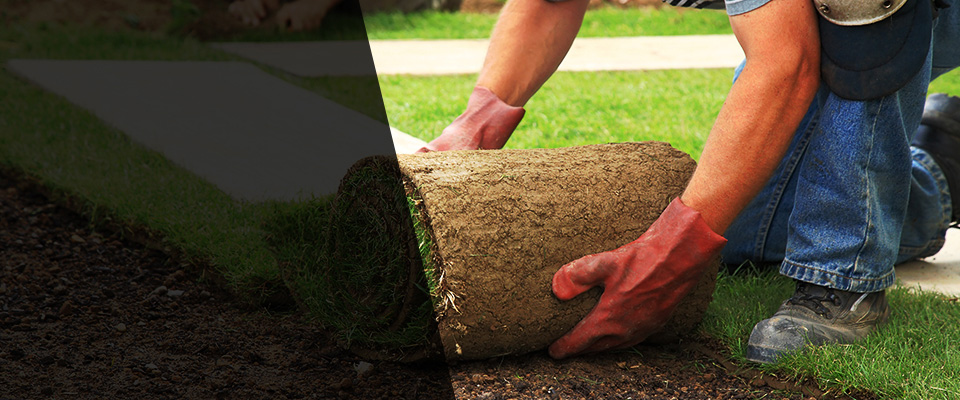 Federalsburg Landscapers